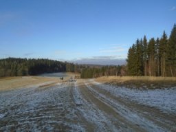silvestr 2019